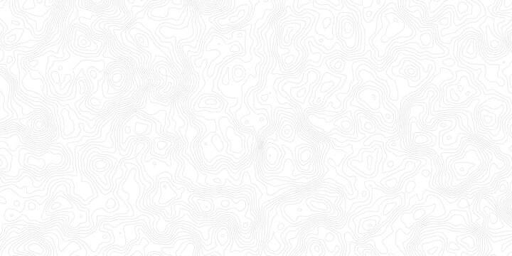 Abstract minimal The patter discovery vector topo map creative discovery White wave grid stripe line map topography.	