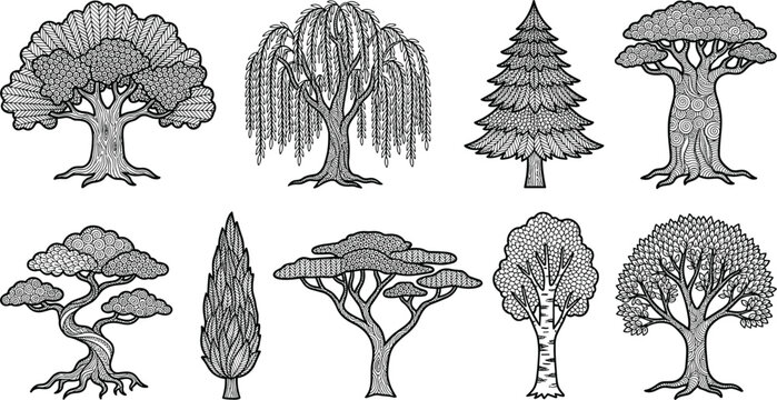 Detailed Tree Vector Illustration Set Featuring Hand Drawn Zentangle Textured Willow Oak Pine and Bonsai Trees for Adult Coloring Pages and Nature Graphics