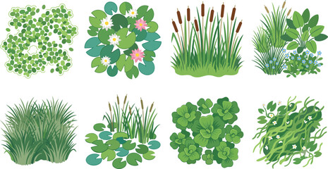 Naklejka premium Aquatic Plants and Wetland Vegetation Set, Vector Illustration of Pond Water Lilies and Reeds