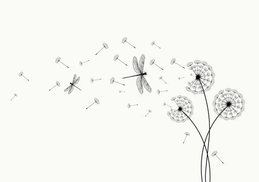 Wild flower dandelion with free space for text.  Vector flower for background, dandelion flying wall decal children's room 