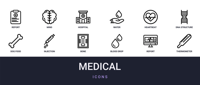 Set of 12 outline web Medical icons such as thermometer, report, blood drop, bone, injection, dog food, dna structure vector icons for report, presentation, diagram, web design, mobile app