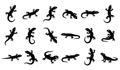 Obraz premium House Lizard Silhouette Vector Icon Set Minimal Black Flat Crawling Reptile Collection Isolated on White