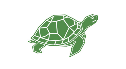 Obraz premium Green turtle shell reptile animal.