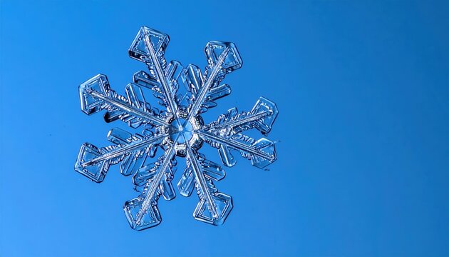 snowflake macro on blue background
