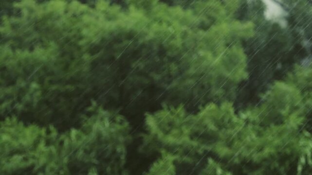 Tokyo,Japan - July 26, 2026: Storm or falling heavy rain with strong wind