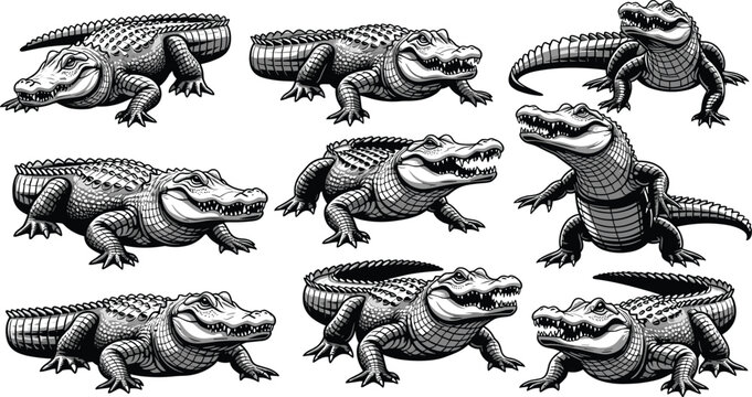 Set of black silhouettes of alligators in various poses isolated on a white background