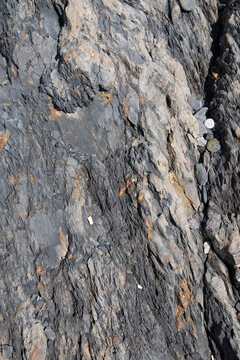closeup of layerd rock at Kap Muroto ("Murotomisaki") Geopark
