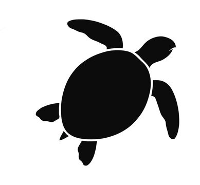 Black sea turtle silhouette icon isolated on white background marine animal vector illustration