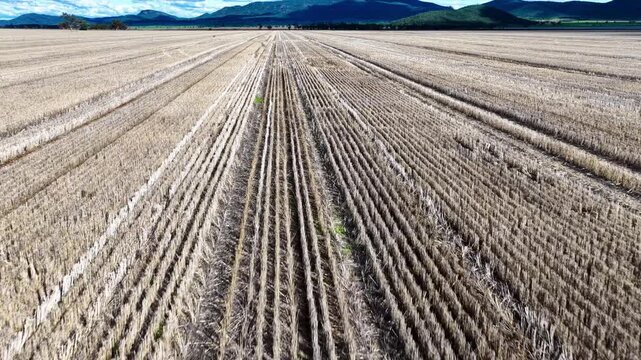 Aerial video flying over cultivated farmland near Gunnedah, NSW, Australia. The cultivated soil forms striking geometric patterns and textures