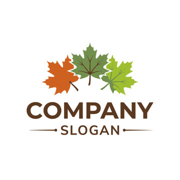 Stylized autumn maple leaves logo with slogan text.