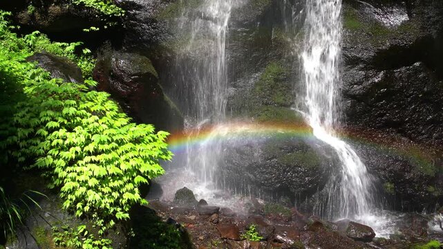虹のかかる滝