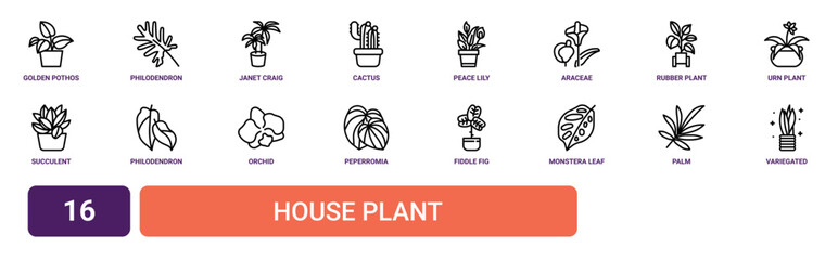 Set of 16 outline web House Plant icons such as variegated snake plant, palm, monstera leaf, fiddle fig, peperromia, orchid, philodendron vector icons for report, presentation, diagram, web design, © Sophie