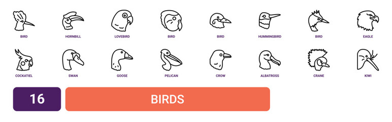 Set of 16 outline web Birds icons such as kiwi, crane, albatross, crow, pelican, goose, swan vector icons for report, presentation, diagram, web design, mobile app © Sophie