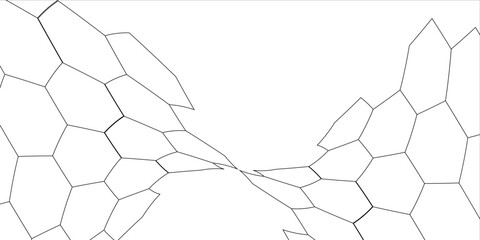 Fishing or soccer net. Repeated hexagon pattern. Black wired mesh texture isolated on white background. Metallic or fabric fence, cage or lattice structure. Vector graphic Illustration. © bun ila