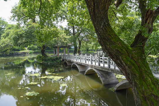 경상남도 함안군 무진정 연못, Mujinjeong Pond, Haman-gun, Gyeongsang-namdo
