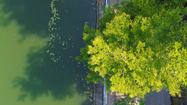 Aerial view of a rainwater retention basin in morning retention basin Mranggen or embung Mranggen