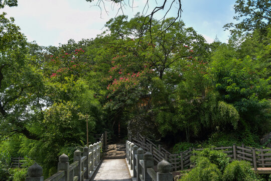 경상남도 함안군 무진정 연못, Mujinjeong Pond, Haman-gun, Gyeongsang-namdo

