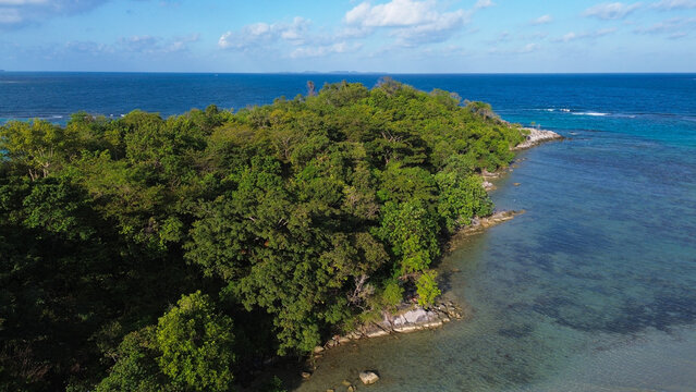 Aerial view of lush green island meets deep blue sea