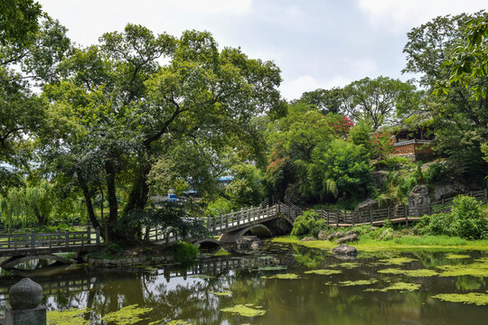 경상남도 함안군 무진정 연못, Mujinjeong Pond, Haman-gun, Gyeongsang-namdo
