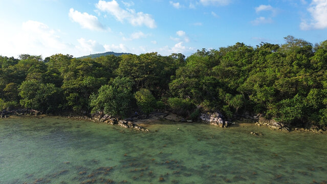 Aerial view of lush green island meets deep blue sea, Lush green trees line calm, clear water
