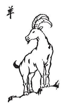 Traditional Chinese ink brush drawing illustration of a standing goat with Chinese calligraphy character for goat isolated on a white background