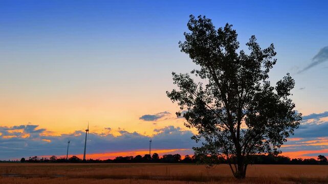Silhouette of tree and wind turbines in field at sunset. Orange sky with blue gradient frames a dark tree and distant wind turbines across dry agricultural land.