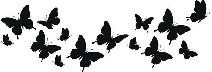 Butterfly silhouettes in flight against a white background © SANCHITA