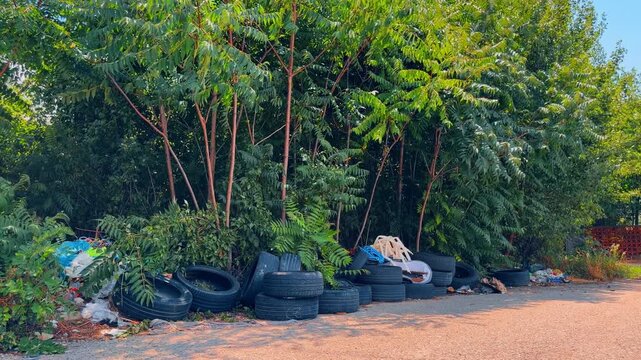 Discarded car tires and garbage dumped on road edge. Multiple black rubber tires and plastic trash lie along asphalt path near thick green shrubs.