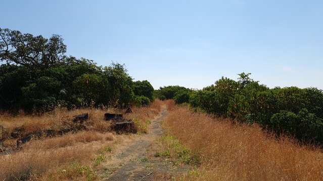 Walking Trail Across Prabalgad Plateau in the Western Ghats Maharashtra India