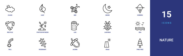 Set of 15 outline web Nature icons such as pine tree, road, acorn, rosemary, fall, sea, ladybug vector icons for report, presentation, diagram, web design, mobile app © Paul