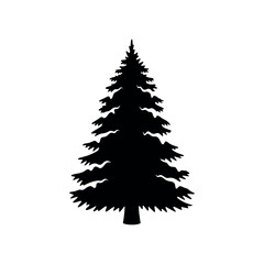 Obraz premium Silhouette of a Tall Evergreen Pine Tree.
