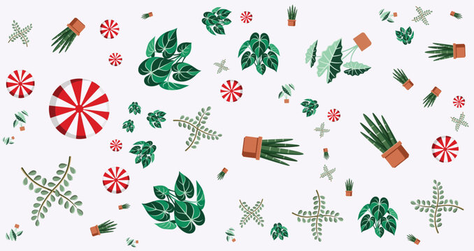 festive holiday pattern with green leaves red and white peppermint candies and potted plants for christmas celebration design