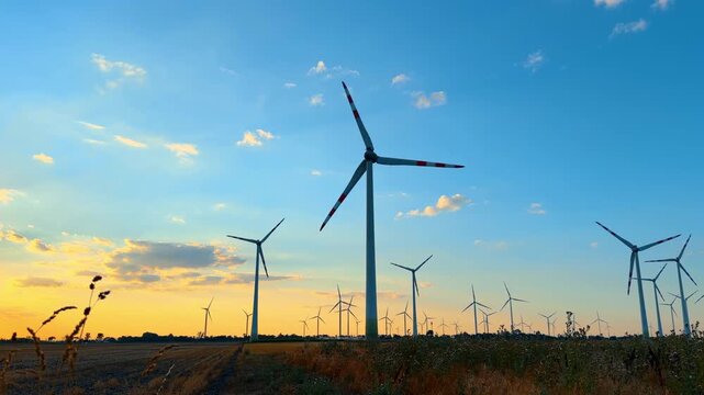 Wind turbines standing in rural field during late sunset. Tall white generators rise over dark foreground vegetation under a blue and orange evening sky.