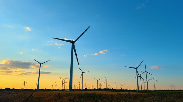 Wind farm turbines standing in field during golden sunset. Tall turbines, yellow orange gradient sky, blue dusk, dark agricultural land, evening light.
