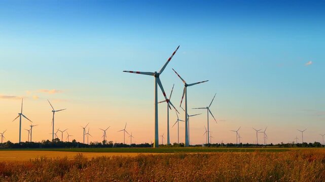 Wind turbine farm operating in open field at sunset. Warm orange light spreads along the horizon behind multiple generator towers in rural terrain.