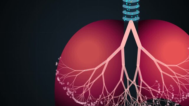3D animation explaining the human respiratory system with glowing nodes and text labels showing the trachea lungs bronchial tree and oxygenation process