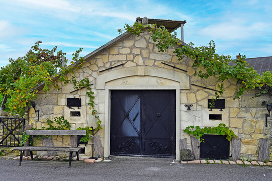 Traditional Wine Cellar Facade In Kellergasse Purbach Austria