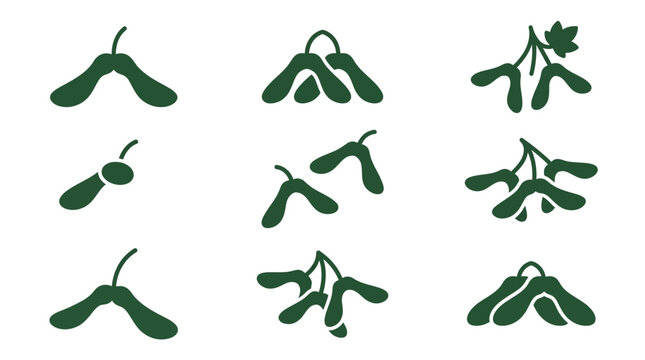 Dark green maple samara and winged seed pod icons.