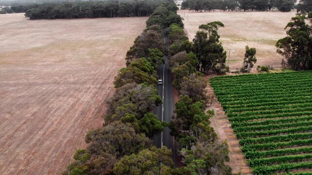 Aerial view of a camper van traveling through a scenic countryside road bordered by tall trees with green grapevines and dry farmland on either side in Australia