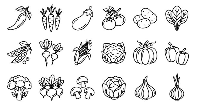 Collection of 18 different vegetable line icons featuring chili pepper, carrots, eggplant, tomatoes, potatoes, spinach, peas, radishes, corn, cauliflower, pumpkin, bell peppers, broccoli, beets, mushr