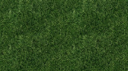 Fototapeta premium Green grass lawn texture background top view with background landscaping gardening backdrop environment botanical grassland landscape
