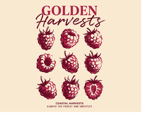 Eat well live well. Raspberry local farm. Organic fruit farm. Raspberry fruit artwork.. Golden harvests raspberry print. Vintage fruit design for t sh