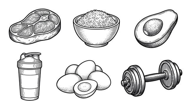 Healthy fitness food, protein nutrition and bodybuilding gym equipment vector illustration set in vintage engraving style