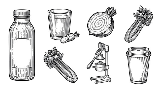 Fresh juice and smoothie ingredients vintage engraving vector illustration set with celery, beetroot, bottle, and juicer