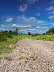 A dirt road winding between the lakes of the Iława Lake District. © Leszek