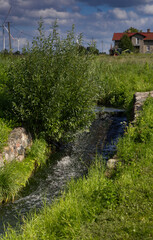 A small stream flowing gently down a small hill. Jelenie Incline, Poland. © Leszek