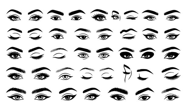 Professional Male Female Eye and Eyebrow Vector Illustration Collection