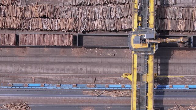 Top-down aerial view of industrial timber yard with gantry crane and freight trains for global trade and supply chain