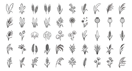 Fototapeta premium Minimalist cereal crops and wild flower line icons, set of 50 botanical vector illustrations, black outline agricultural grain and plant symbols