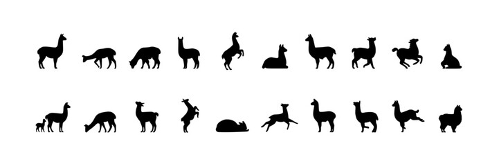 Fototapeta premium Llamas in Various Poses and Activities as Black Silhouettes Featuring Llama, Silhouette, Animal with Illustration and Vector